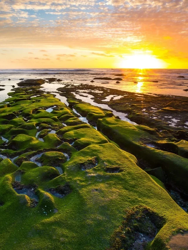 10 Must-Visit Beaches In America